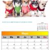 calendario de perros 2025