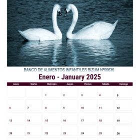 Calendario animales 2025